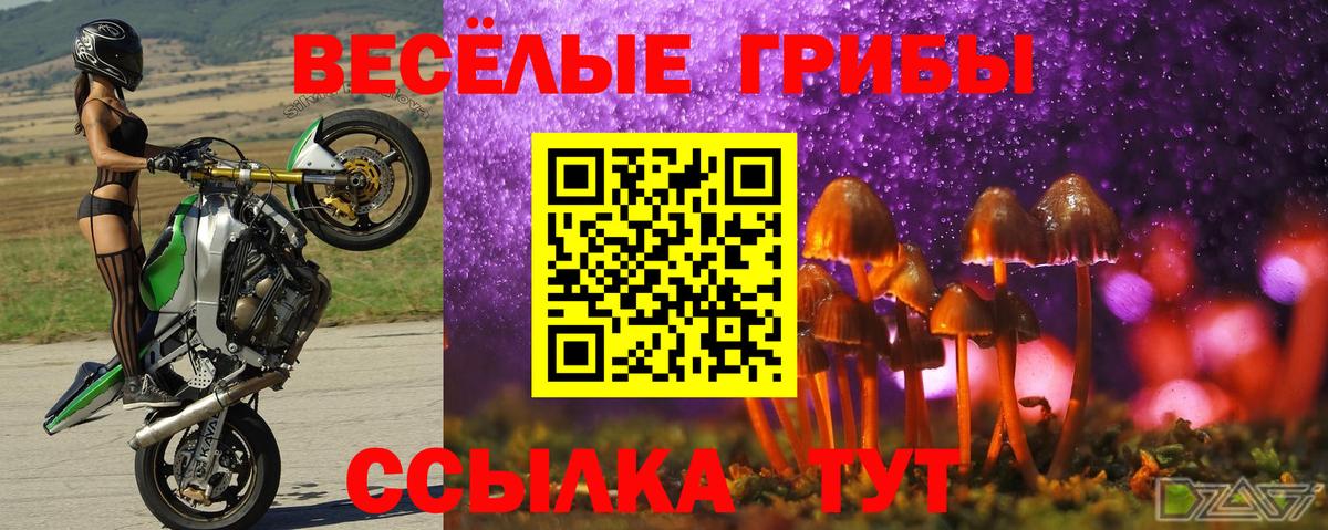 Псилоцибиновые грибы мицелий Казань