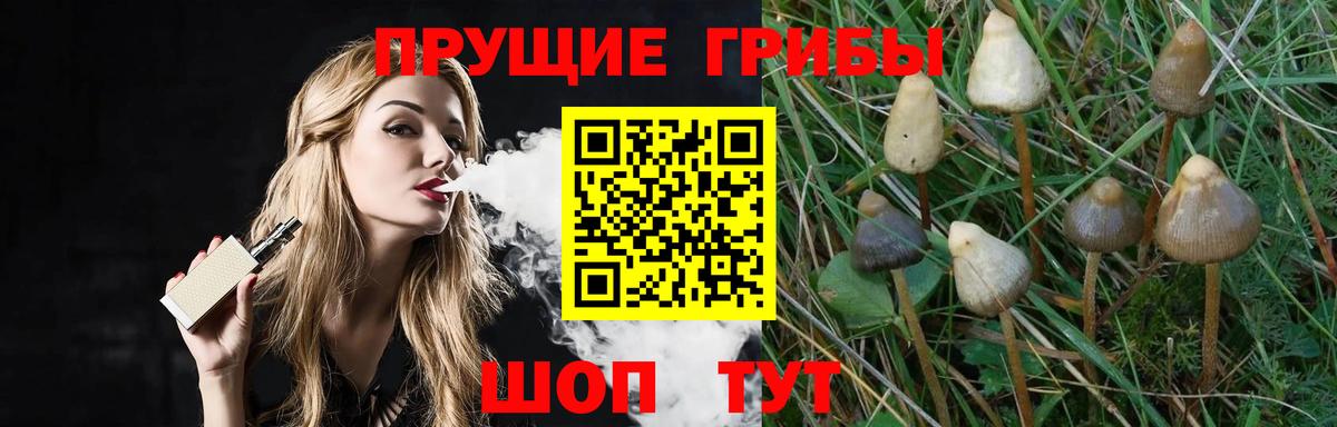 Казань  Галлюциногенные грибы прущие грибы  купить наркотики цена  Вход с VPN 